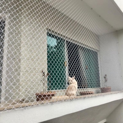 Tela de proteção para gatos